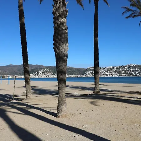 Castell Joncar,30 M De La Playa, 1era Linea De Mar, Vista Al Mar דירה *